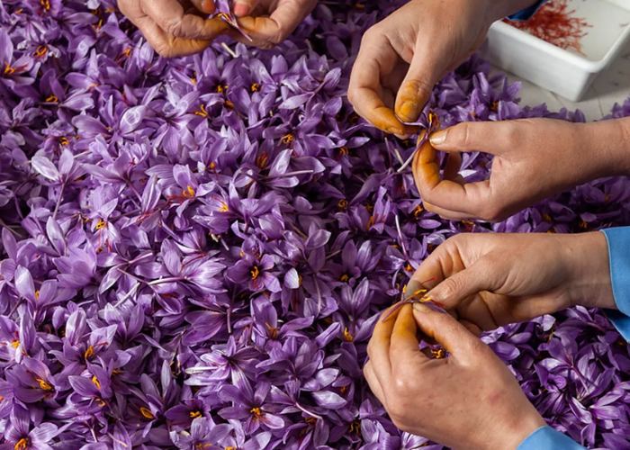 سوغات شهرکرد