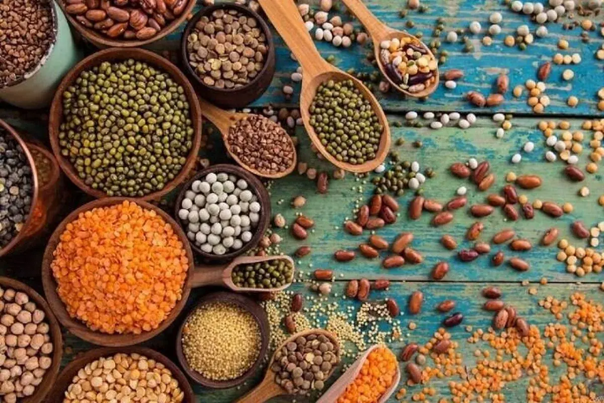 آغاز واردات بدون تعرفه گندم و حبوبات از اوراسیا