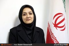 ارزیابی ۹ سیاست کلی نظام در حوزه مسکن و اجرایی شدن ضوابط کاهش خطر فرونشست
