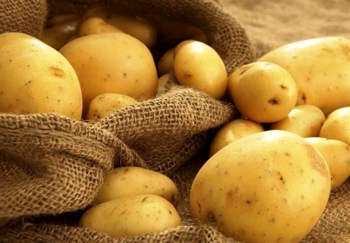 افزایش ۸۲ درصدی قیمت سیب زمینی
