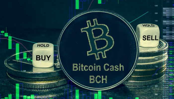 بیت کوین کش چیست و چگونه کار می کند؟