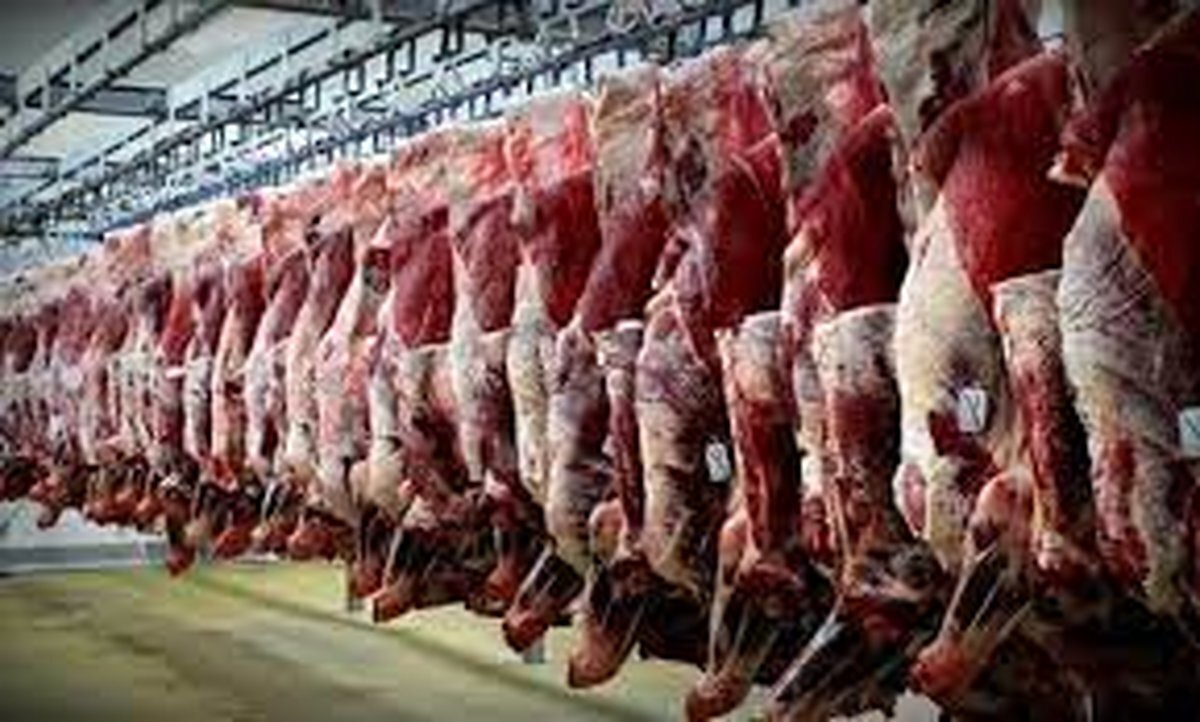 جهش ۱۵۰ درصدی ارز واردات گوشت؛ بازار در انتظار شوک جدید قیمتی