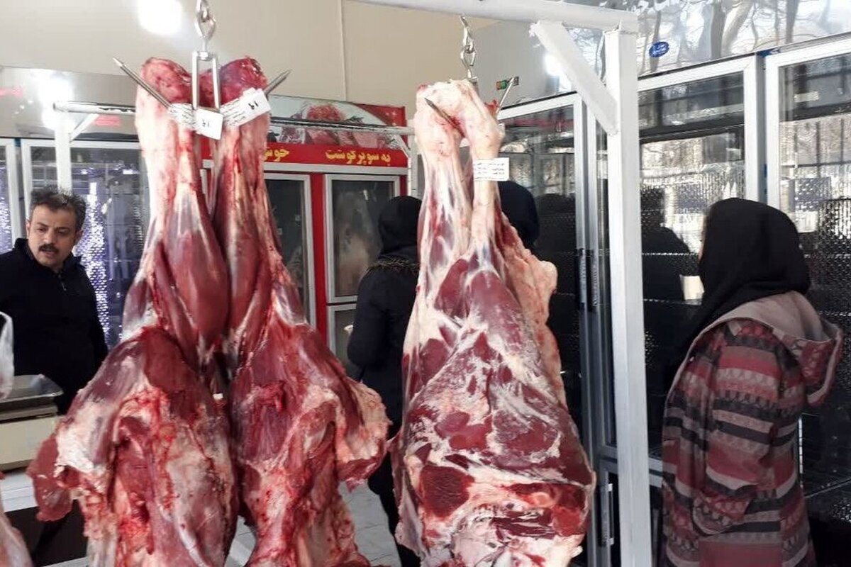 خبر مهم درباره کاهش قیمت گوشت در بازار
