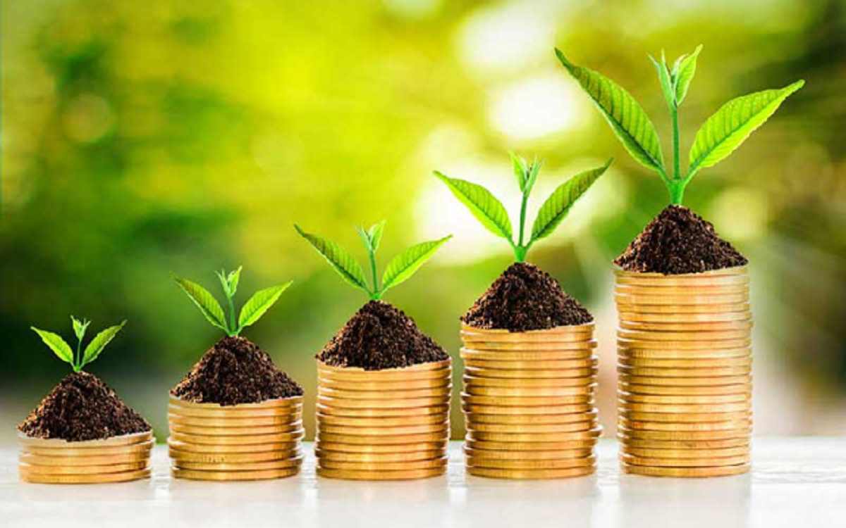 راهنمای مدیریت مالی در بحران