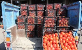 صدرنشینی گوجه‌فرنگی در جدول گرانی‌ها