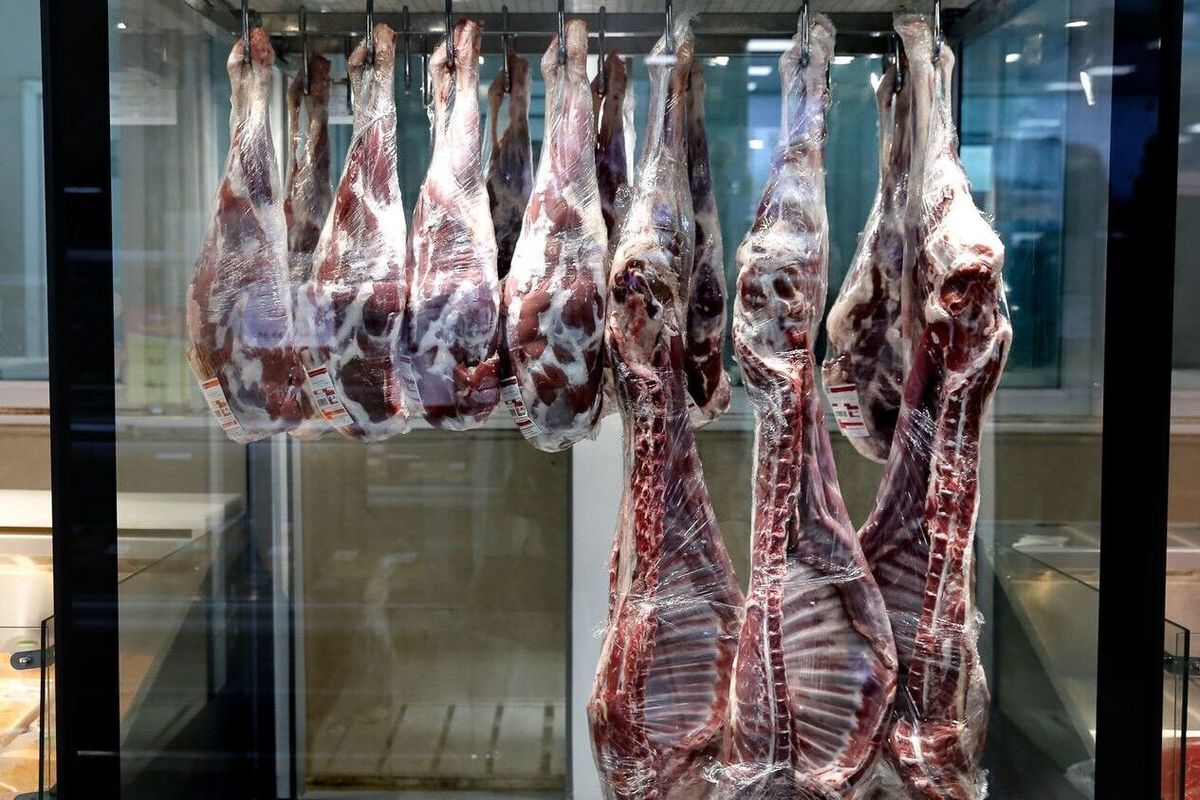 قیمت انواع گوشت گوساله و گوسفندی تنظیم بازار و آزاد امروز دوشنبه ۱ اردیبهشت