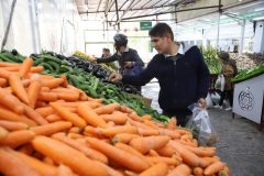 قیمت خیار عجیب شد + جدول