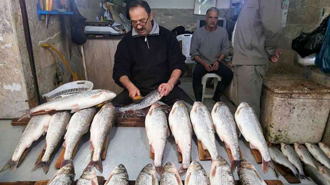 قیمت ماهی در میادین و بازار‌های میوه و تره‌بار اعلام شد