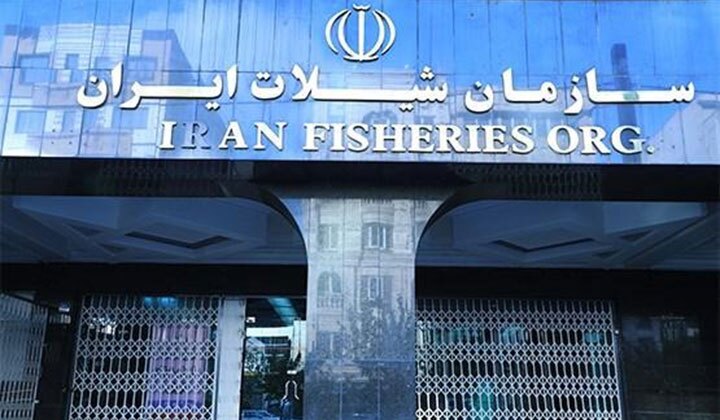 معرفی سازمان شیلات ایران؛ آبزی‌پروری و حفاظت از منابع آبی کشور