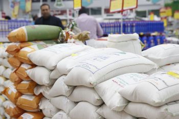 نماینده مجلس: گرانی برنج تقصیر دلال‌هاست