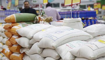 هشدار نسبت به تبعات قیمت‌گذاری دستوری برنج