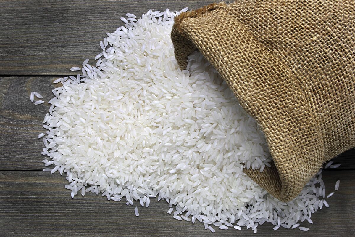 واردات ۶۰ هزار تن برنج تقلبی به ایران؛ چه کسی مجوز داد؟