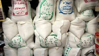 پرواز قیمت برنج در نیمه مرداد + جدول