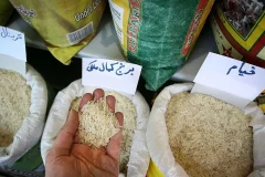 کابوس برنج ۳۰۰ هزار تومانی تمام شد