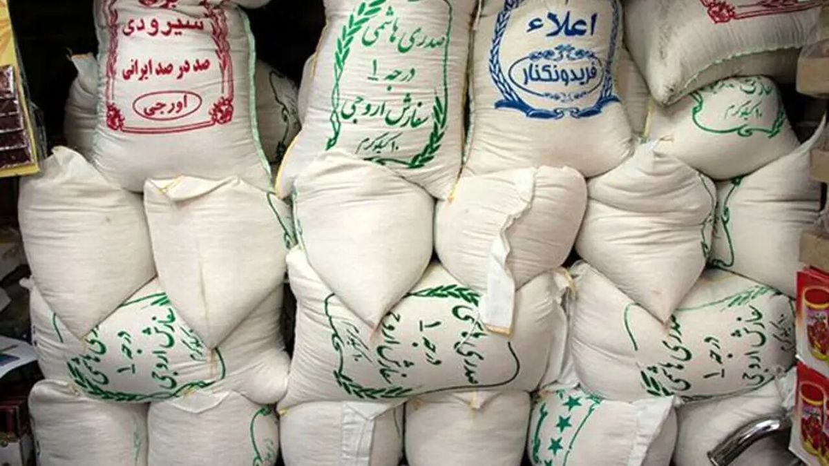 کاهش قیمت برنج در راه است
